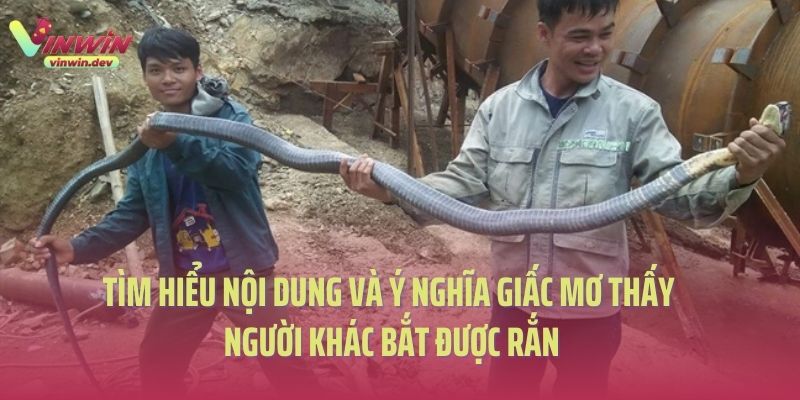 Tìm hiểu nội dung và ý nghĩa giấc mơ thấy người khác bắt được rắn