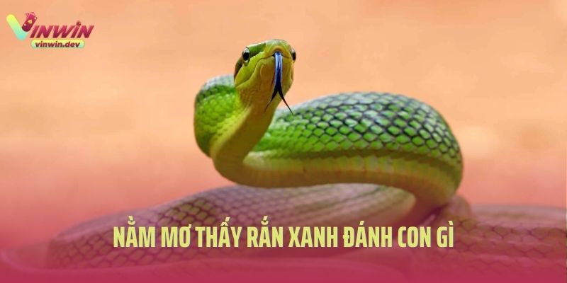 Nằm Mơ Thấy Rắn Xanh Đánh Con Gì Hiệu Quả Tại Xổ Số Vinwin