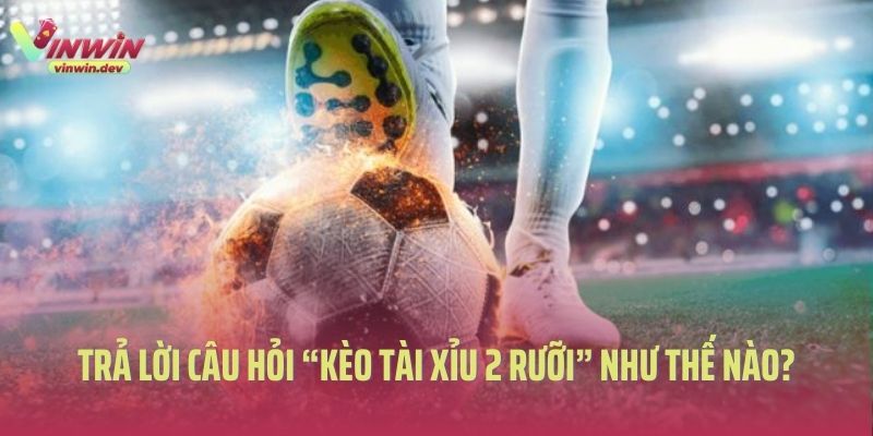 trả lời câu hỏi kèo tài xỉu 2 rưỡi